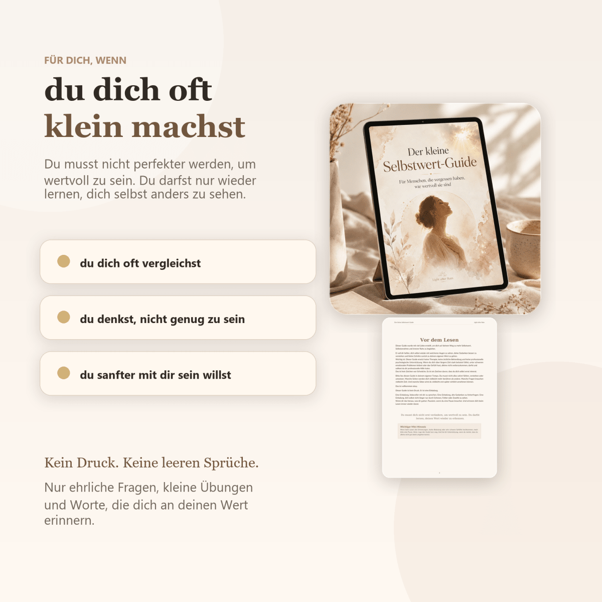 Der kleine Selbstwert Guide - Light After Rai